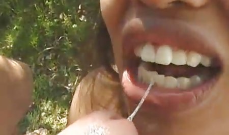 بازیگری به ویدویسکسی اتاق هتل دیتونا رفت و در آنجا تیراندازی صورت گرفت