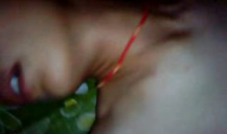 سکس کریسمس در درخت عکس کون شهوانی کریسمس با الکسا